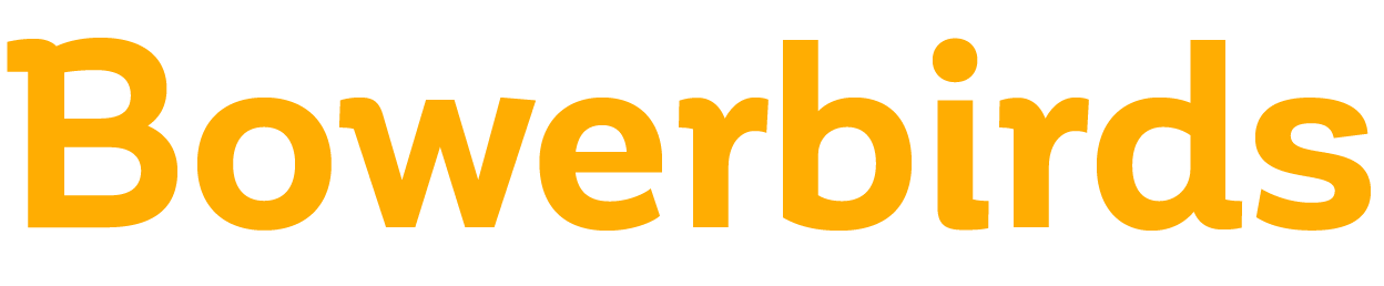 Bowerbrids
